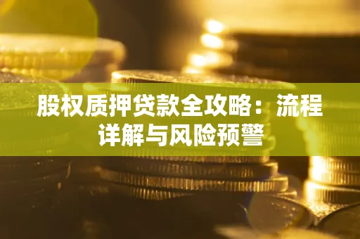 北京股权质押贷款全攻略：流程详解与风险预警