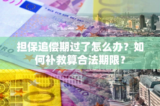 北京担保追偿期过了怎么办？如何补救算合法期限？