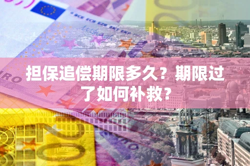 北京担保追偿期限多久？期限过了如何补救？