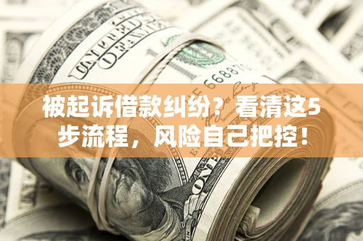 北京被起诉借款纠纷？看清这5步流程，风险自己把控！